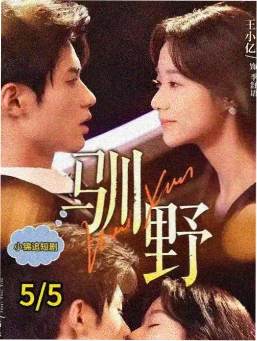 大雄的金银岛 剧场版封面